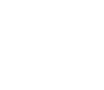 Dogfight Boss
