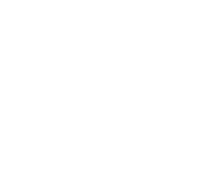 Dogfights