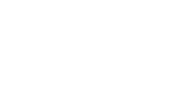 Eagle Dynamics