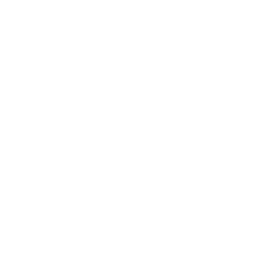 VRgineers