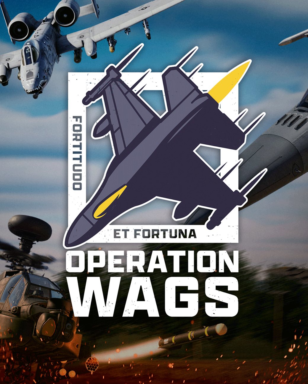 Operation Wags, DCS community charity event